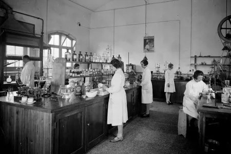 Vrouwen die werken in een laboratorium