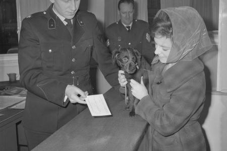 Form to request vaccination of a dog at the police station